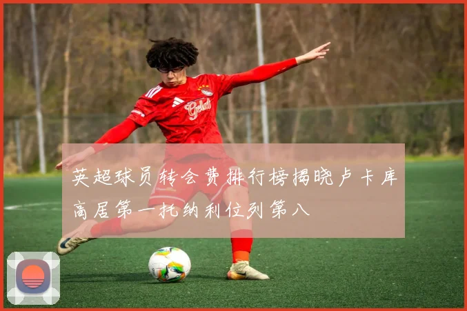 英超球员转会费排行榜揭晓卢卡库高居第一托纳利位列第八